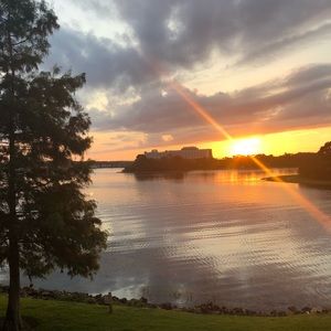 Meet your Posher, Charlene